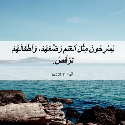 Picture 06 - أَيُّوبَ 21:11 AVD - يُسْرِحُونَ مِثْلَ - Bible Verse Picture