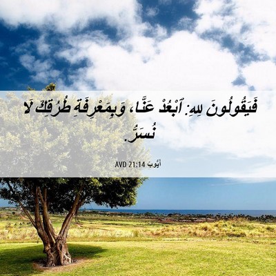 Picture 06 - أَيُّوبَ 21:14 AVD - فَيَقُولُونَ لِلهِ: - Bible Verse Picture