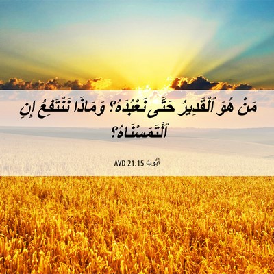 Picture 06 - أَيُّوبَ 21:15 AVD - مَنْ هُوَ ٱلْقَدِيرُ - Bible Verse Picture