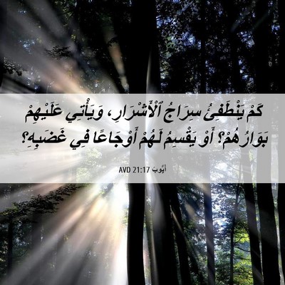 Picture 06 - أَيُّوبَ 21:17 AVD - كَمْ يَنْطَفِئُ سِرَاجُ - Bible Verse Picture