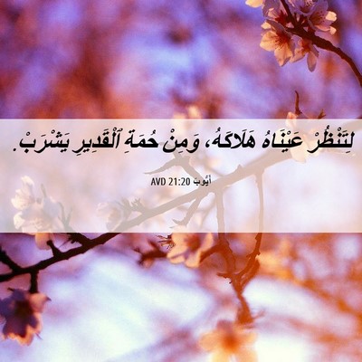 Picture 06 - أَيُّوبَ 21:20 AVD - لِتَنْظُرْ عَيْنَاهُ - Bible Verse Picture