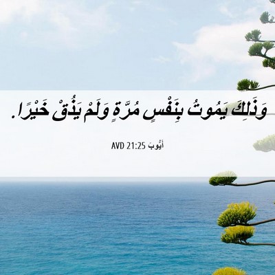 Picture 06 - أَيُّوبَ 21:25 AVD - وَذَلِكَ يَمُوتُ بِنَفْسٍ - Bible Verse Picture