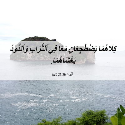 Picture 06 - أَيُّوبَ 21:26 AVD - كِلَاهُمَا يَضْطَجِعَانِ - Bible Verse Picture