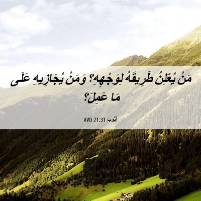 Picture 06 - أَيُّوبَ 21:31 AVD - مَنْ يُعْلِنُ طَرِيقَهُ - Bible Verse Picture
