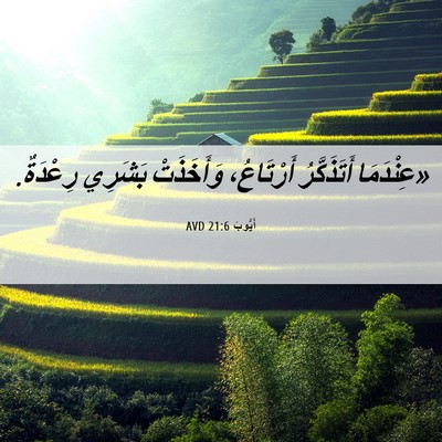 Picture 06 - أَيُّوبَ 21:6 AVD - «عِنْدَمَا أَتَذَكَّرُ - Bible Verse Picture