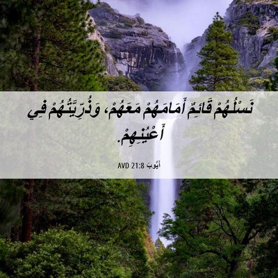 Picture 06 - أَيُّوبَ 21:8 AVD - نَسْلُهُمْ قَائِمٌ - Bible Verse Picture