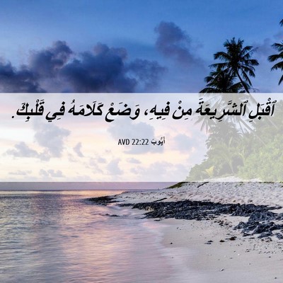 Picture 06 - أَيُّوبَ 22:22 AVD - ٱقْبَلِ ٱلشَّرِيعَةَ مِنْ - Bible Verse Picture