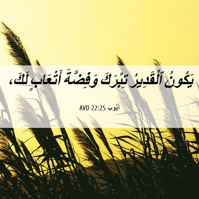 Picture 06 - أَيُّوبَ 22:25 AVD - يَكُونُ ٱلْقَدِيرُ - Bible Verse Picture