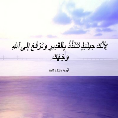 Picture 06 - أَيُّوبَ 22:26 AVD - لِأَنَّكَ حِينَئِذٍ - Bible Verse Picture