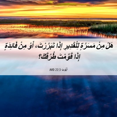 Picture 06 - أَيُّوبَ 22:3 AVD - هَلْ مِنْ مَسَرَّةٍ - Bible Verse Picture