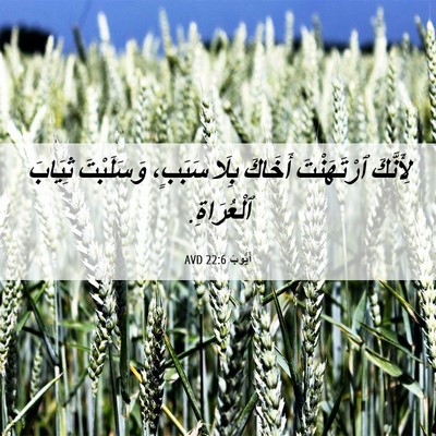 Picture 06 - أَيُّوبَ 22:6 AVD - لِأَنَّكَ ٱرْتَهَنْتَ - Bible Verse Picture