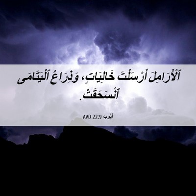 Picture 06 - أَيُّوبَ 22:9 AVD - ٱلْأَرَامِلَ أَرْسَلْتَ - Bible Verse Picture