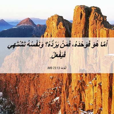 Picture 06 - أَيُّوبَ 23:13 AVD - أَمَّا هُوَ فَوَحْدَهُ، - Bible Verse Picture