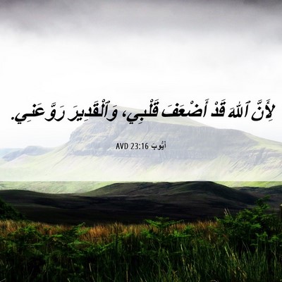 Picture 06 - أَيُّوبَ 23:16 AVD - لِأَنَّ ٱللهَ قَدْ - Bible Verse Picture