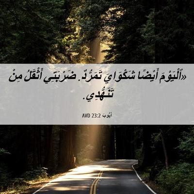 Picture 06 - أَيُّوبَ 23:2 AVD - «ٱلْيَوْمَ أَيْضًا - Bible Verse Picture