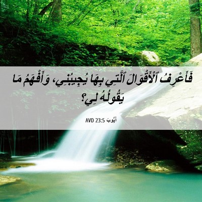 Picture 06 - أَيُّوبَ 23:5 AVD - فَأَعْرِفُ ٱلْأَقْوَالَ - Bible Verse Picture