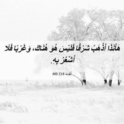 Picture 06 - أَيُّوبَ 23:8 AVD - هَأَنَذَا أَذْهَبُ - Bible Verse Picture