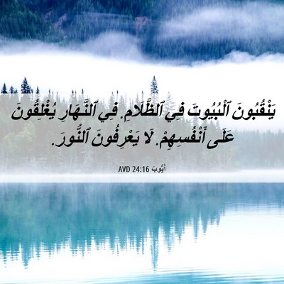 Picture 06 - أَيُّوبَ 24:16 AVD - يَنْقُبُونَ ٱلْبُيُوتَ - Bible Verse Picture