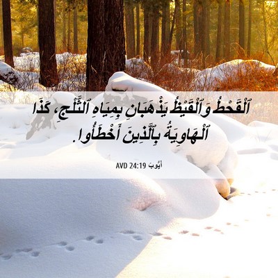 Picture 06 - أَيُّوبَ 24:19 AVD - ٱلْقَحْطُ وَٱلْقَيْظُ - Bible Verse Picture