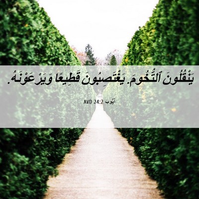 Picture 06 - أَيُّوبَ 24:2 AVD - يَنْقُلُونَ ٱلتُّخُومَ. - Bible Verse Picture