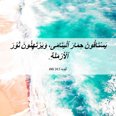 Picture 06 - أَيُّوبَ 24:3 AVD - يَسْتَاقُونَ حِمَارَ - Bible Verse Picture