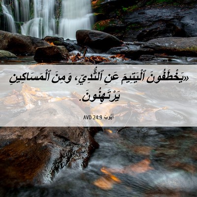 Picture 06 - أَيُّوبَ 24:9 AVD - «يَخْطَفُونَ ٱلْيَتِيمَ - Bible Verse Picture