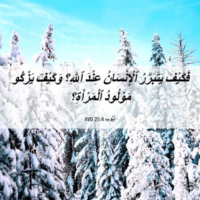 Picture 06 - أَيُّوبَ 25:4 AVD - فَكَيْفَ يَتَبَرَّرُ - Bible Verse Picture