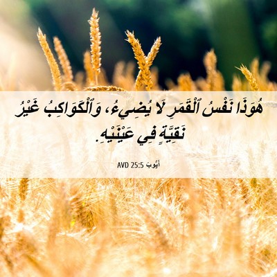Picture 06 - أَيُّوبَ 25:5 AVD - هُوَذَا نَفْسُ ٱلْقَمَرِ - Bible Verse Picture