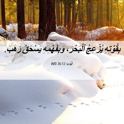 Picture 06 - أَيُّوبَ 26:12 AVD - بِقُوَّتِهِ يُزْعِجُ - Bible Verse Picture
