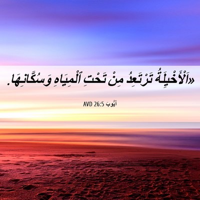 Picture 06 - أَيُّوبَ 26:5 AVD - «اَلْأَخْيِلَةُ - Bible Verse Picture