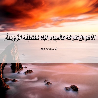 Picture 06 - أَيُّوبَ 27:20 AVD - ٱلْأَهْوَالُ تُدْرِكُهُ - Bible Verse Picture
