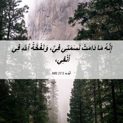 Picture 06 - أَيُّوبَ 27:3 AVD - إِنَّهُ مَا دَامَتْ - Bible Verse Picture