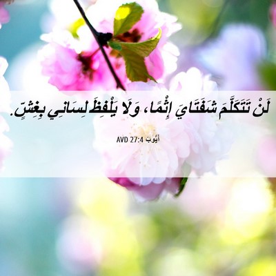 Picture 06 - أَيُّوبَ 27:4 AVD - لَنْ تَتَكَلَّمَ - Bible Verse Picture