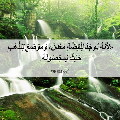 Picture 06 - أَيُّوبَ 28:1 AVD - «لِأَنَّهُ يُوجَدُ - Bible Verse Picture