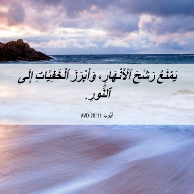Picture 06 - أَيُّوبَ 28:11 AVD - يَمْنَعُ رَشْحَ - Bible Verse Picture