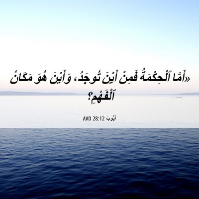 Picture 06 - أَيُّوبَ 28:12 AVD - «أَمَّا ٱلْحِكْمَةُ - Bible Verse Picture