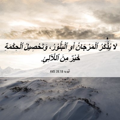 Picture 06 - أَيُّوبَ 28:18 AVD - لَا يُذْكَرُ ٱلْمَرْجَانُ - Bible Verse Picture