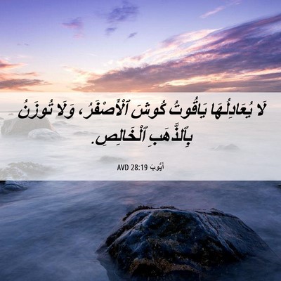 Picture 06 - أَيُّوبَ 28:19 AVD - لَا يُعَادِلُهَا يَاقُوتُ - Bible Verse Picture
