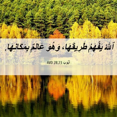 Picture 06 - أَيُّوبَ 28:23 AVD - ٱللهُ يَفْهَمُ - Bible Verse Picture