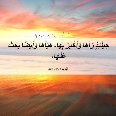 Picture 06 - أَيُّوبَ 28:27 AVD - حِينَئِذٍ رَآهَا - Bible Verse Picture