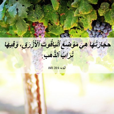 Picture 06 - أَيُّوبَ 28:6 AVD - حِجَارَتُهَا هِيَ - Bible Verse Picture
