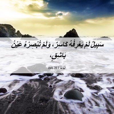 Picture 06 - أَيُّوبَ 28:7 AVD - سَبِيلٌ لَمْ يَعْرِفْهُ - Bible Verse Picture