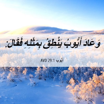Picture 06 - أَيُّوبَ 29:1 AVD - وَعَادَ أَيُّوبُ يَنْطِقُ - Bible Verse Picture