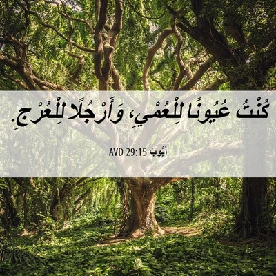 Picture 06 - أَيُّوبَ 29:15 AVD - كُنْتُ عُيُونًا - Bible Verse Picture