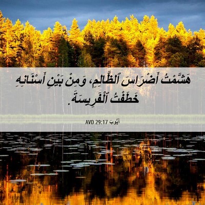 Picture 06 - أَيُّوبَ 29:17 AVD - هَشَّمْتُ أَضْرَاسَ - Bible Verse Picture
