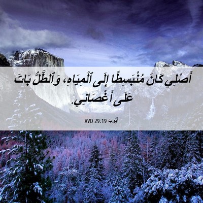 Picture 06 - أَيُّوبَ 29:19 AVD - أَصْلِي كَانَ مُنْبَسِطًا - Bible Verse Picture