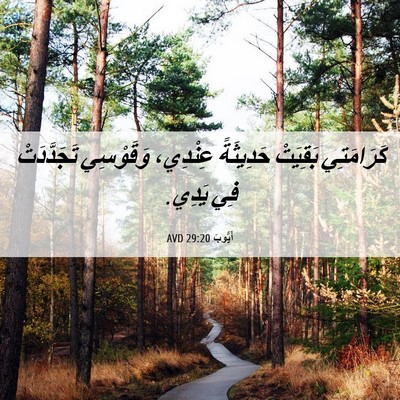 Picture 06 - أَيُّوبَ 29:20 AVD - كَرَامَتِي بَقِيَتْ - Bible Verse Picture