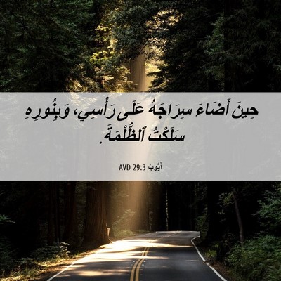 Picture 06 - أَيُّوبَ 29:3 AVD - حِينَ أَضَاءَ سِرَاجَهُ - Bible Verse Picture