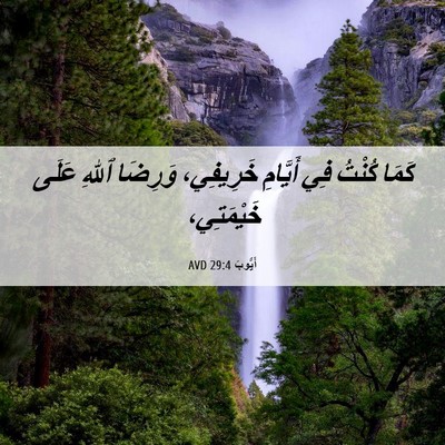 Picture 06 - أَيُّوبَ 29:4 AVD - كَمَا كُنْتُ فِي أَيَّامِ - Bible Verse Picture