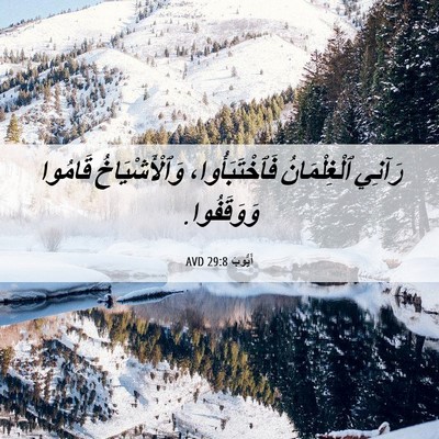 Picture 06 - أَيُّوبَ 29:8 AVD - رَآنِي ٱلْغِلْمَانُ - Bible Verse Picture
